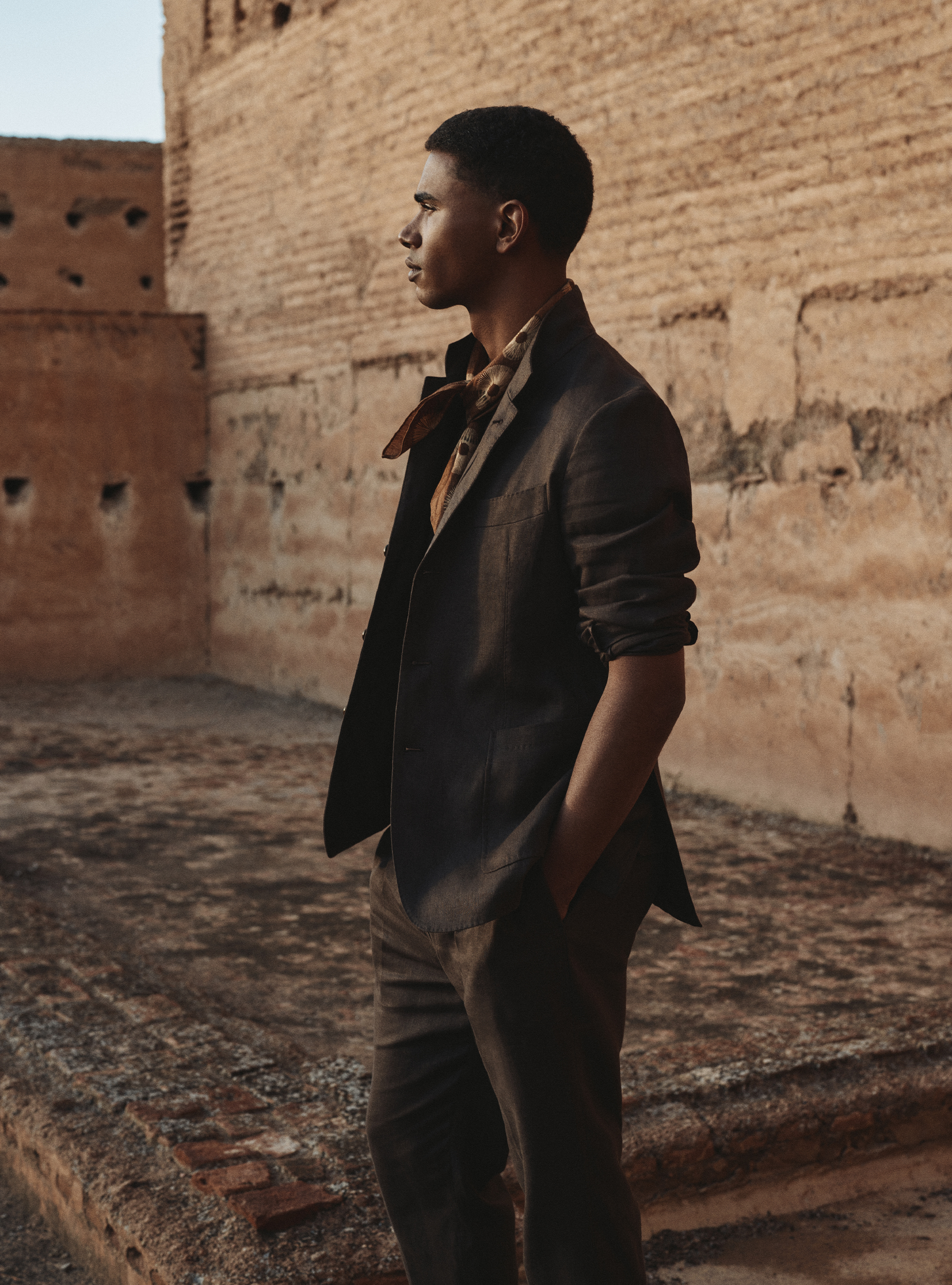 Brown sophistication, 